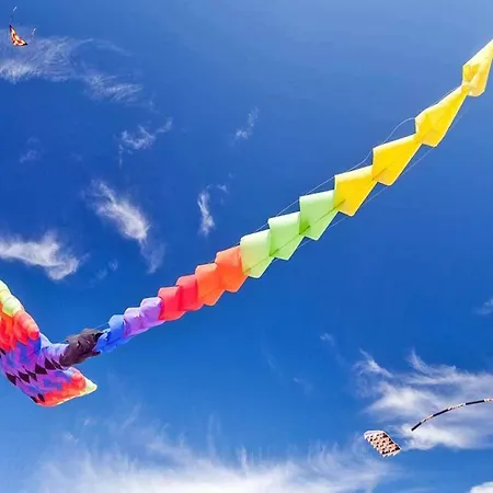 Near The Beach, Rewal